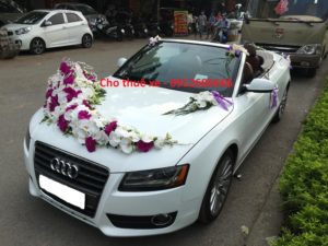 thue-xe-cuoi-audi-a5-3-1