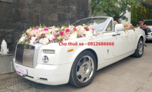 xe-cuoi-volkswagen-mui-tran